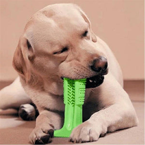 DIY Dog Toothbrush & Chew Toy